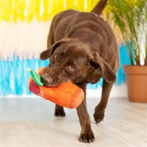 Pet Shop by Fringe Studio Muttchelada Plush Dog Toy